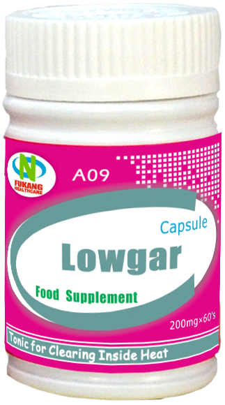 A09 Lowgar