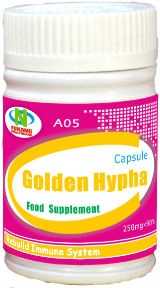 A05 Golden Hypha